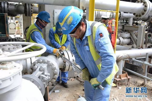 攜手共進(jìn)，開(kāi)創(chuàng)未來(lái) 科威特王子與中國(guó)伙伴的戰(zhàn)略合作探索