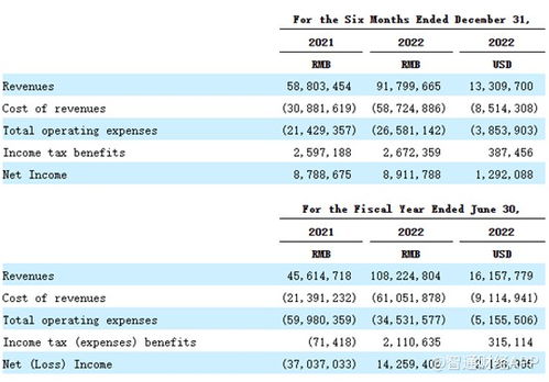 重銷售輕研發(fā)，致?？萍几懊繧PO成長(zhǎng)性迎考，單一業(yè)務(wù)依賴風(fēng)險(xiǎn)凸顯